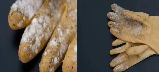 塑膠手套發(fā)霉了怎么辦？工廠必看塑膠手套防霉方案！