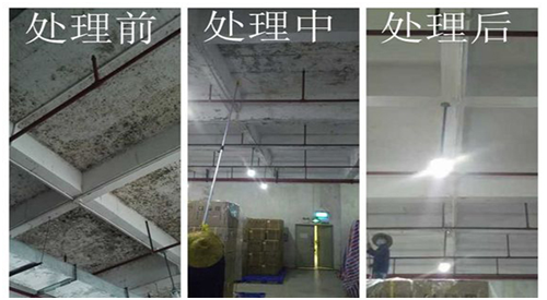 除霉前后對(duì)比